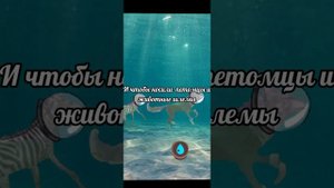 ~Идеи для обновления WildCraft~