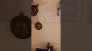 78обм.Как быстро настроить патефон/граммофон  на 78 оборотов в минуту