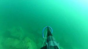 Подводная охота во Владивостоке. ТЕРПУГ. Spearfishing