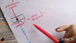 Neural control of GIT functions explained in urdu.guyton chp 63 part 2