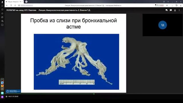 Иммунологическая реактивность и ее нарушения 2