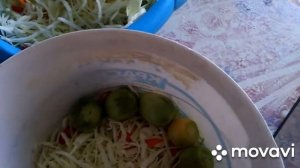 Квашеная Капуста с Зелеными Томатами (Помидорами)/Солим и Квасим на Зиму/Кухня Сержа/(0+)