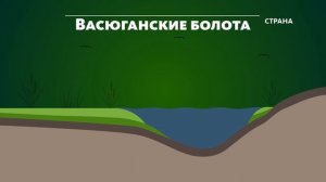 Природа. Васюганское болото. РГО Томск