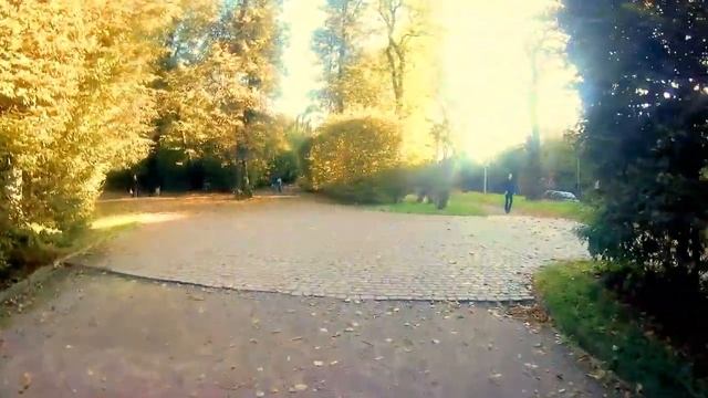Прогулка по осеннему парку. Walking through the autumn park. смотреть онлайн