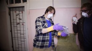 Сравнение шумоизоляции Knauf и Rockwool