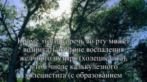 Что горит Причины появления горечи во рту — Статья