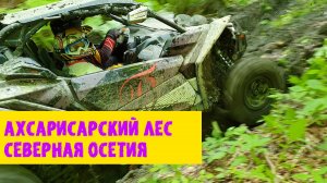 Ахсарисарский лес. Дигорское ущелье. Республика Северная Осетия-Алания