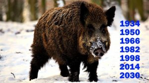 В ГОД КОГО ТЫ РОДИЛСЯ ПО СЛАВЯНСКОМУ КАЛЕНДАРЮ