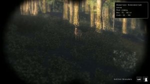 theHunter Classic Гайд Охота на оленей Белохвостый, Чернохвостый, Колумбийский помощь новичкам!!!