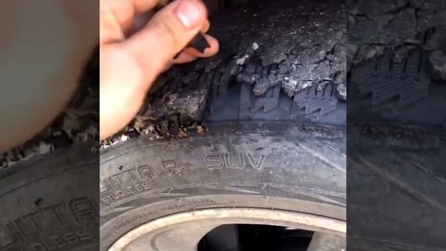 Липчане отдирают новый асфальт с колес своих автомобилей смотреть онлайн