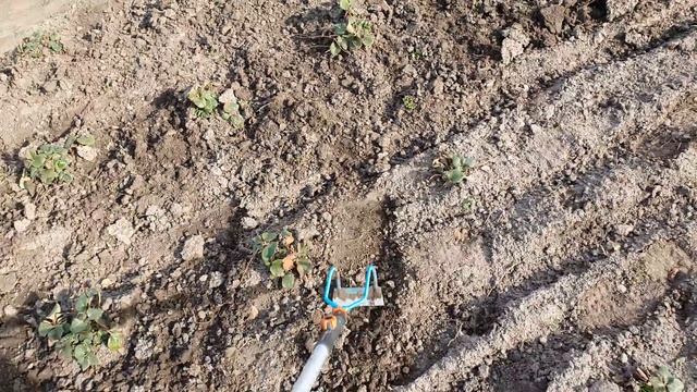 Тяпка от Gardena, которая сама полет. смотреть онлайн