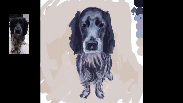 Реалистичный рисунок собаки. Speedpaint. Digital. Как нарисовать черную шерсть. Диджитал.
