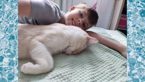 Мой любимый кот Мурзик