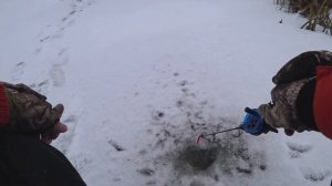 Ловля Окуня на Балансир! Первый Лёд! Зимняя рыбалка на озере! Балансиры Рапала!