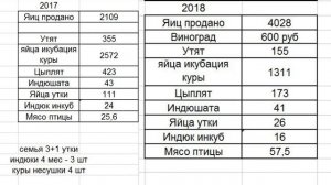 Птицеводство на своём подворье сравнение 2017 и 2018 год