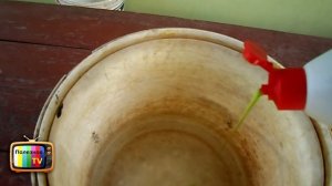 СОДА ЛУЧШЕЕ СРЕДСТВО В БОРЬБЕ С МУЧНИСТОЙ РОСОЙ