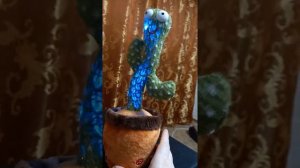 Поющий и танцующий кактус