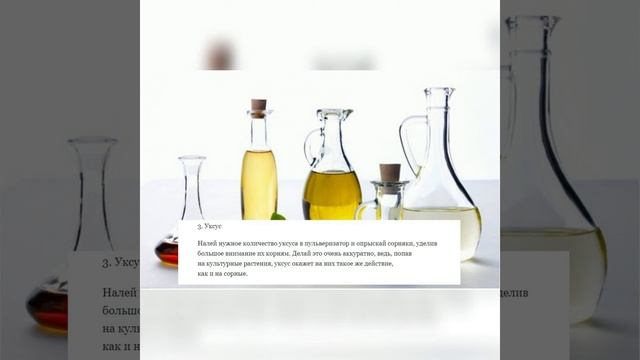 Как избавиться от сорняков на участке: 7 народных средств.