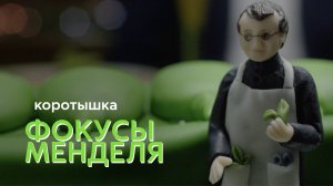 ФОКУСЫ МЕНДЕЛЯ 
короткометражный фильм