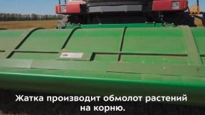Очесывающая двубарабанная жатка Победа 7 на уборке пшеницы. Уборочная 2023 г Алтайский край