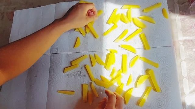 Картофель фри готовить в домашних условиях самые хрустящие картошки French fries