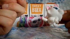 Обзор на Игрушки Sweet BOX Пушистики котята коллекция 2