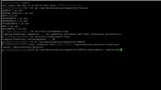 BSA: Creating and syncing a new bladelogic keystore смотреть онлайн