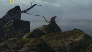 11Эволюция млекопитающих (БиографияЗемли)