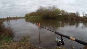 Как Ловить Фидером на Реке? Есть Нюансы...