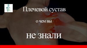 Плечевой сустав