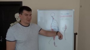 Биомеханика в движении при слабых мышцах