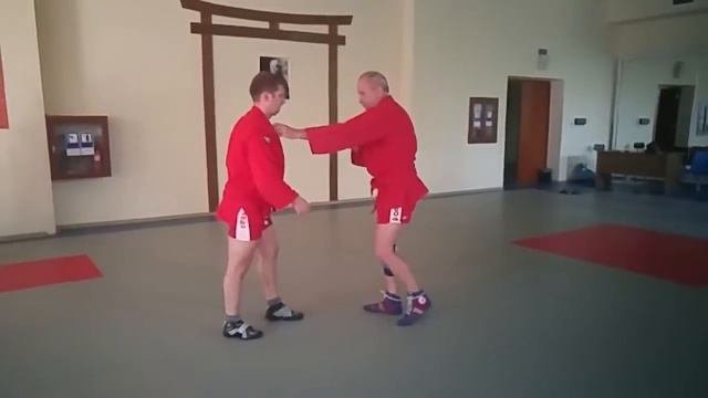 Самбо подсечки