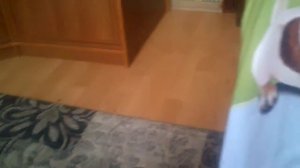 Заяц барабанит