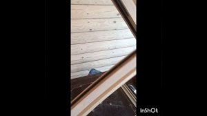 Установка деревянного окна в срубовую баню.