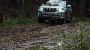 TOYOTA Fortuner и Land Cruiser Prado на легком бездорожье