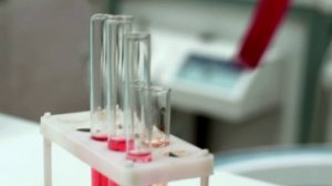 Кубанский Государственный Медицинский Университет