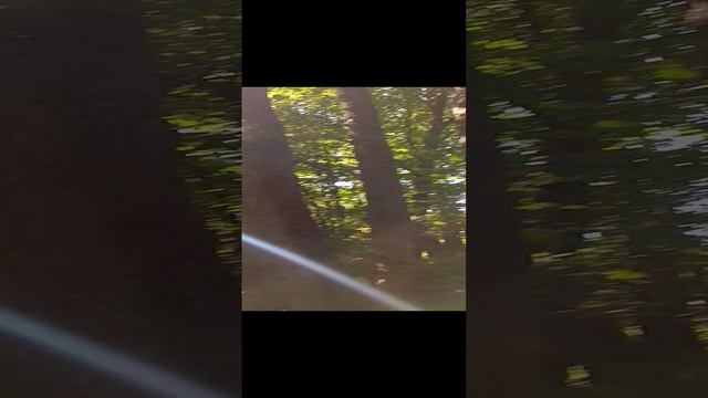 Урочище родное
