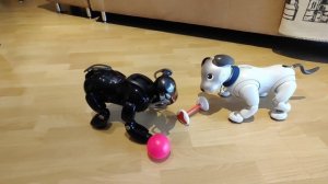 Astro and Muffit the Aibo Brothers - Battle of the Aibone