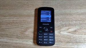 Philips E111 default ringtones.