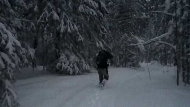 Поход: Второй пруд - Сад №23 - трасса Р343 - д.Шарапы - Березники смотреть онлайн