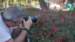 Camara Sony A7R V | Sony A7R Mark V