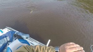 Рыбалка Приобье 25 08 2022 Щука на 10 кг