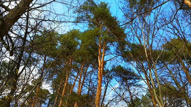 Десна 20 апреля 2017 года. Таймлапс снято на Samsung Galaxy s7 смотреть онлайн