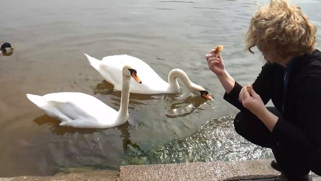 ALEX KAHN ПО ТЕЧЕНИЮ смотреть онлайн