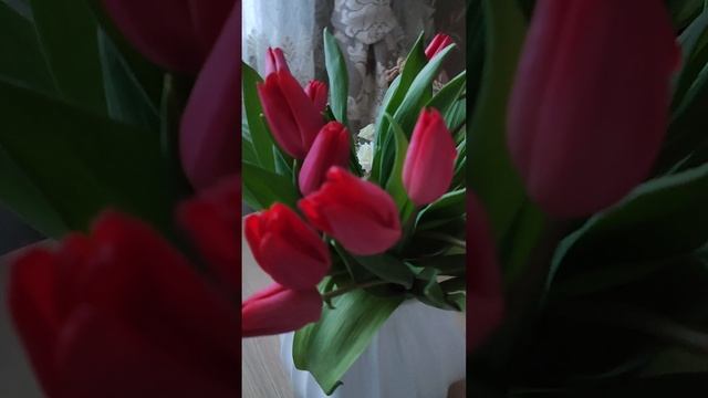 Всем доброго утра и хорошего настроения ??? смотреть онлайн