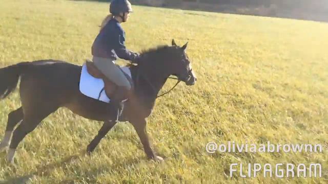 LADDY AND GLORIA || Olivia Brown смотреть онлайн