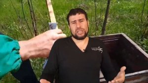 Как получать много меда от отводков пчел. Как сделать отводок пчел и получить ме