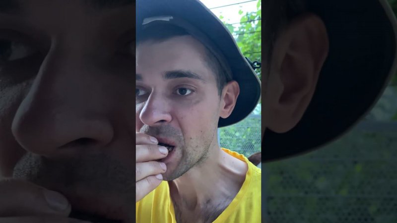 Пью чай с алабаям