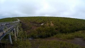 Особенности погодных условий. Туман. (Дорога Ванино - Лидога).