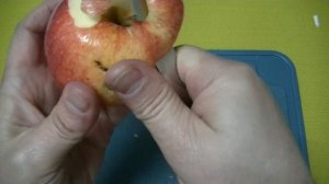 Нож Opinel trekking № 08 grey_первые впечатления